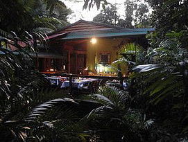 Daintree Rainforest Retreat Motel - Grafton Accommodation 4