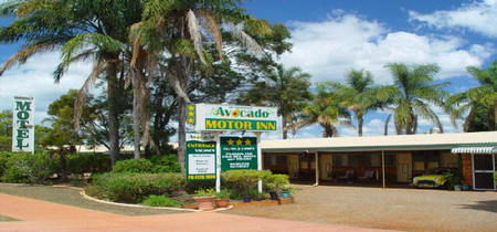 Avocado Motor Inn - Grafton Accommodation 0