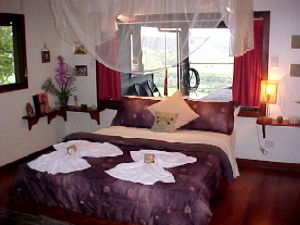 Daintree Cloud 9 - Grafton Accommodation 0