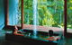 Silky Oaks Lodge And Healing Waters Spa - thumb 1