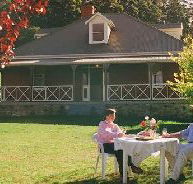 Hartzview Vineyard Homestead - Grafton Accommodation