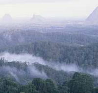 Braeside Bed and Breakfast - Grafton Accommodation