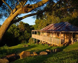 Berry Mountain Farm Mullengrove Cottage - Grafton Accommodation 1