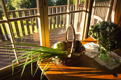 Berry Mountain Farm Mullengrove Cottage - Grafton Accommodation 5