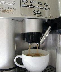 CeeSpray On Owen Bed And Breakfast - Grafton Accommodation 2