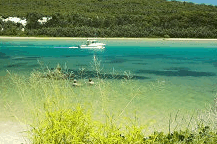 Wooli Camping and Caravan Park - Grafton Accommodation