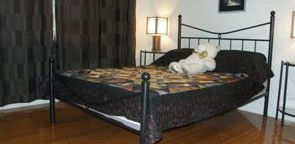 Artisans ...on The Hill Bed And Breakfast - Grafton Accommodation 2