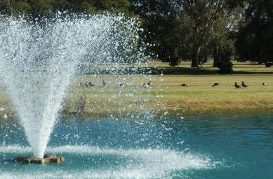 Howlong Country Golf Club & Motel - Grafton Accommodation 5