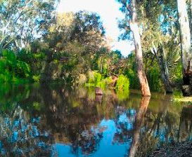 Wanganella Creek Camp Park - Grafton Accommodation 1