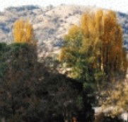 Birches Bed and Breakfast at Nundle - Grafton Accommodation