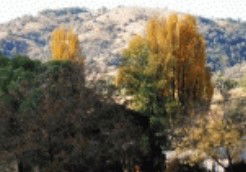 Birches Bed And Breakfast At Nundle - Grafton Accommodation 0