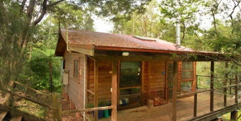 Bluegums Cabins - Grafton Accommodation 1