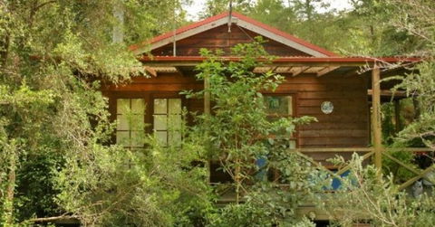 Bluegums Cabins - Grafton Accommodation 2