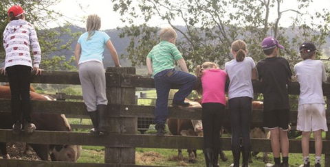 Ashmar Farm Stay - Grafton Accommodation 4