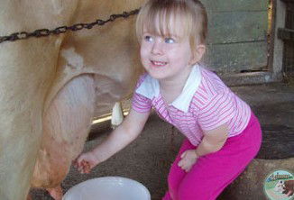Ashmar Farm Stay - Grafton Accommodation 5