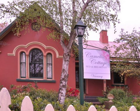 Camelia Cottage - Grafton Accommodation 3