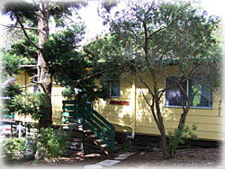 Queen Mary Falls Caravan Park And Cabins - Grafton Accommodation 0