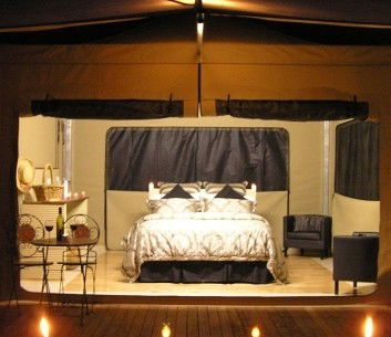 Ketchups Bank Glamping - Grafton Accommodation 4