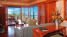 OReillys Rainforest Retreat - Grafton Accommodation 0