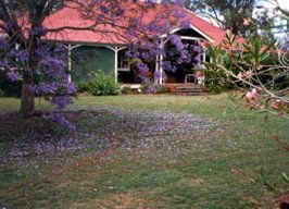 Minmore Farmstay Bed And Breakfast - Grafton Accommodation 0