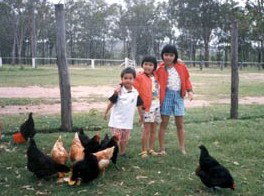 Minmore Farmstay Bed And Breakfast - Grafton Accommodation 1