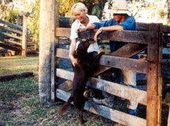 Minmore Farmstay Bed And Breakfast - Grafton Accommodation 2