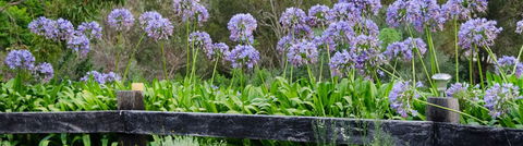 Mirambeena Retreat - Grafton Accommodation 4