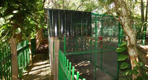 Ashmore Palms Holiday Village - Grafton Accommodation 3