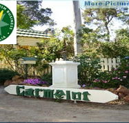 Carmelot Bed  Breakfast - Grafton Accommodation