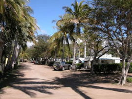 Alva Beach Tourist Park - Grafton Accommodation 0