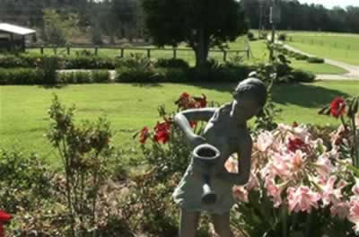 Jacaranda Country Lodge - Grafton Accommodation 2