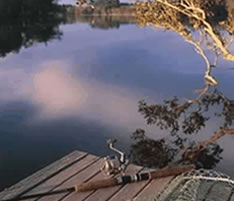 Jacaranda Country Lodge - Grafton Accommodation 4