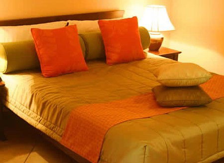 Hibiscus Gardens Spa Resort - Grafton Accommodation 1