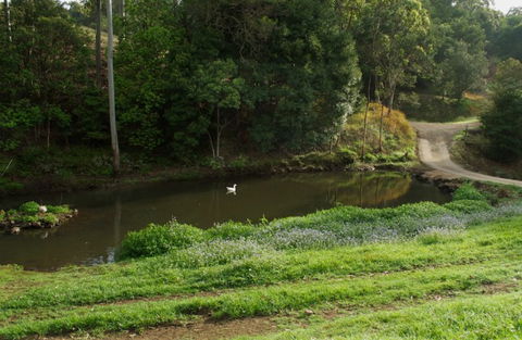 Wattle Gully Retreat - Grafton Accommodation 4