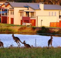 Grand Mercure The Vintage Hunter Valley - Grafton Accommodation