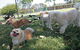 Durack Pet Motel - thumb 1