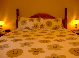 Bungama SA Grafton Accommodation