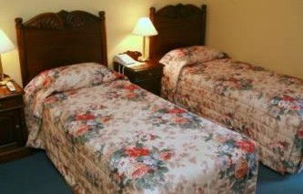 Avonmore On The Park - Grafton Accommodation 1