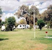 Morgan Riverside Caravan Park - Grafton Accommodation