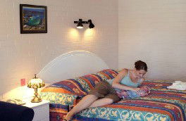 Tuncurry Sunset Motel - Grafton Accommodation 0