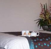Best Western Ambassador Motor Inn - Grafton Accommodation