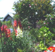 Hopfield Country Cottages - Grafton Accommodation