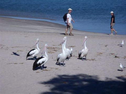 Kalbarri Accommodation Service - Grafton Accommodation 5