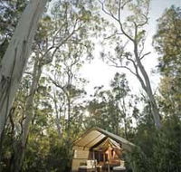 Paperbark Camp - Grafton Accommodation