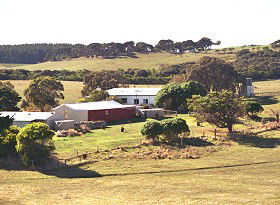 Sun Valley Eco Farm - Grafton Accommodation 0