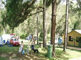 Glasshouse Mountains Holiday Village - Grafton Accommodation 0