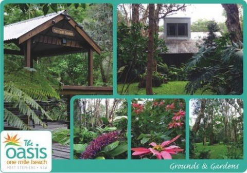 The Oasis At One Mile Beach - Grafton Accommodation 0