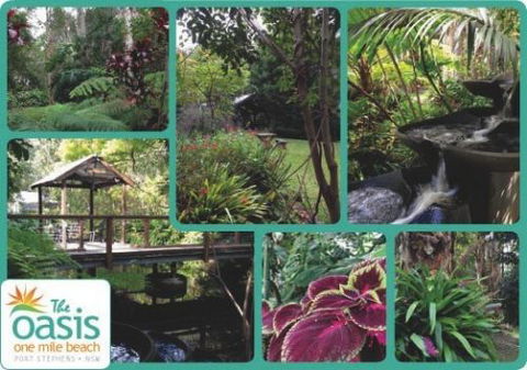 The Oasis At One Mile Beach - Grafton Accommodation 2