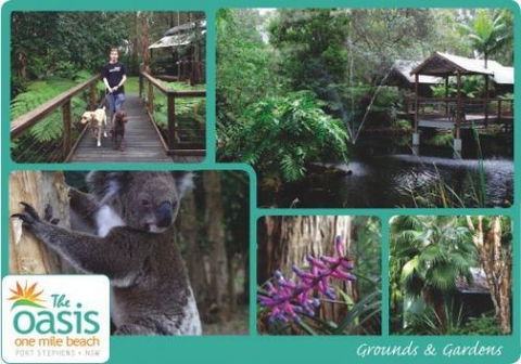 The Oasis At One Mile Beach - Grafton Accommodation 3