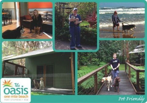 The Oasis At One Mile Beach - Grafton Accommodation 8